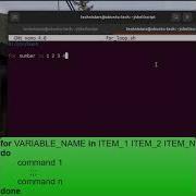 Shell Scripting For Loop Shorts Linux