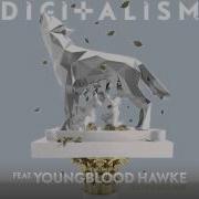 Digitalism Wolves Extended Mix