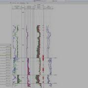 Danomics Editing Well Log Displays