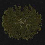 Slime Mold Simulation