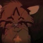 Shattered Warriors MEP