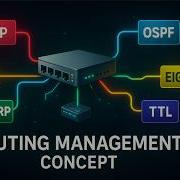 Подробный обзор протоколов маршрутизации RIP OSPF BGP EIGRP и TTL