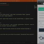 Getting Started With Angular 2 Lesson 23 Form Validation