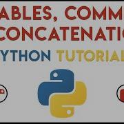Python Учебное пособие по переменным комментариям и конкатенации