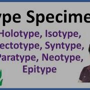 Type Specimen Nomenclature Type Typification