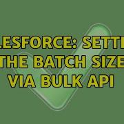 Salesforce Setting The Batch Size Via Bulk API