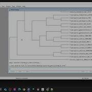 Maximum Parsimony Using Paup 4 0 Part 1