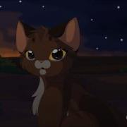 Warrior Cats Devil S Backbone MAP Part 2