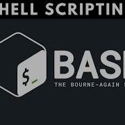 Shell Scripting Variables