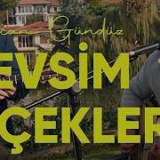 Evrencan Gündüz Mevsim Çiçekleri