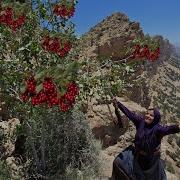 Emotional Adventure Red Mountain Fruits And The Rescue Of A Lovely Lamb