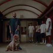 Rushy Pressure Music Video