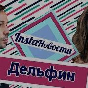 Дельфин в Красном Октябре Синтетика брейк данс и совет себе о2тв InstaНовости