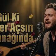 Gül Ki Güller Açsın Al Yanağında Anatolia