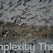 Complexity Theory