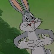 Bushy Hare 1 3