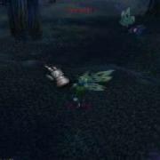 World Of Warcraft Bug Damage Bug