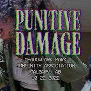PUNITIVE DAMAGE Meadowlark Park Community Association 10 22 2022