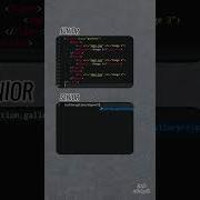 Junior Vs Senior Web Developer Webdevelopment Coding