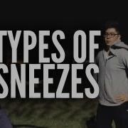 Types Of Sneezes