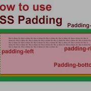 How To Padding In Css Css Padding Left Right Bottom Top