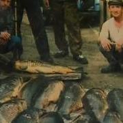 Профессия Репортер Кыштымский Карлик Film From ASHPIDYTU