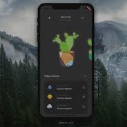 Flutter Cactus App