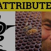 Attribute Attributed Attribute Meaning Attributed Examples Attribute Definition