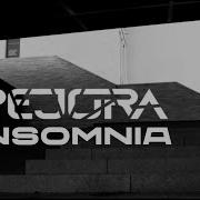 Pejora Insomnia Faithless Metal Cover