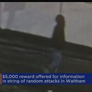 Waltham Offers 5 000 Reward For Information Leading To Arrest In Unprovoked Attacks