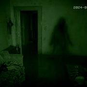 ЭНЕРГЕТИЧЕСКИЙ ПАРАЗИТ КИКИМОРА В КВАРТИРЕ ENERGY PARASITE KIKIMORA IN THE APARTMENT