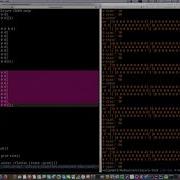 Game Of Life Visualization With Clojure And Quil