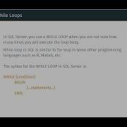 7 While Loops In SQL
