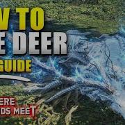 Where Winds Meet How To Free White Deer Guide Lost Cause Prayers Quest
