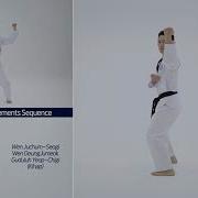 8th Dan Basic Movements Sequence