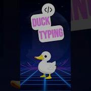 Duck Typing Explained If It Quacks Like A Duck Dynamic Typing