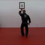CASA DE KENPO FORM 5 DEMO