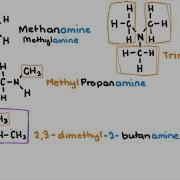 Amines And Amides