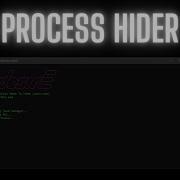 Task Manager Process Hider Spoofer 2024