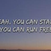Maroon 5 Animals Lyrics