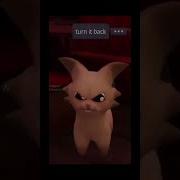 EEEAAAOOO CAT Cat Cutecat Cute Kitty Cutekitty Elgato Eeeaaaooo