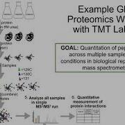 B4B Module 10 TMT And ITRAQ Quantitation