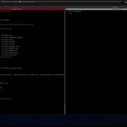 Hack The Box LinkVortex