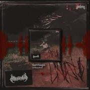 Sennago Unleashed
