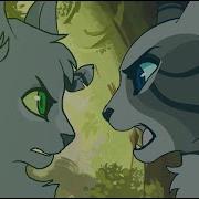 Good For You Ivypool MAP Part 18