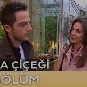 Sevda Çiçeği 24 Bölüm