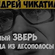 Андрей Чикатило Убийца из лесополосы Остановить Чикатило