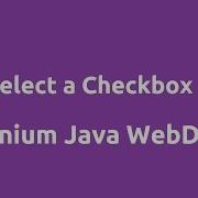Select A Checkbox In Selenium Java WebDriver