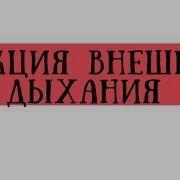 ФВД спирометрия показатели в норме и при патологии Meduniver Com