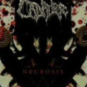 Cadaver Decomposed Metal Skin